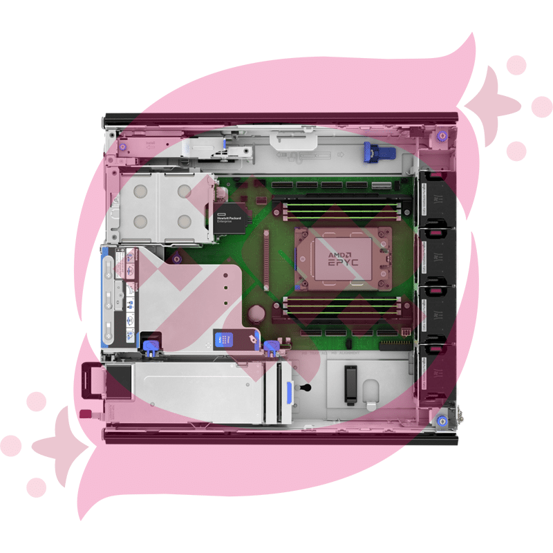 HPE DL145 G11 8024P 1P 1x16GB 2SFF 1x480GB SSD NC BCM5719 1x700W PS NA Server P87460-005