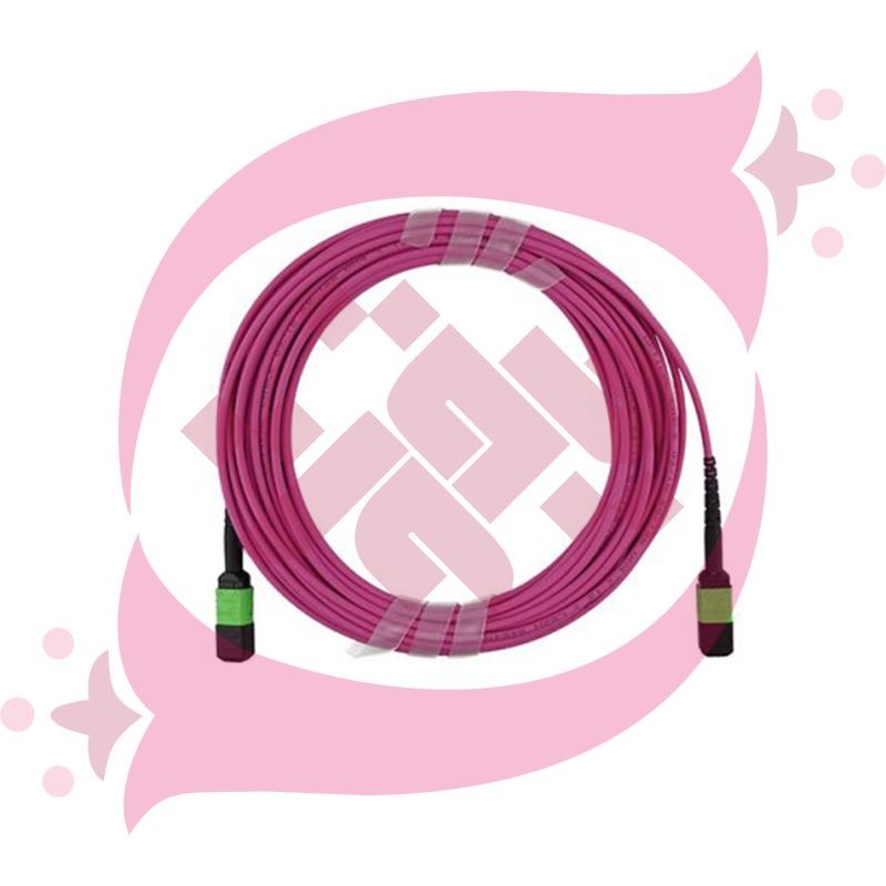 HPE Premier Flex MPO12-MPO12 Multi-mode OM4 2m Fiber Cable Q1H64A HPE Premier Flex MPO12-MPO12 Multi-mode OM4 2m Fiber Cable Q1H64A